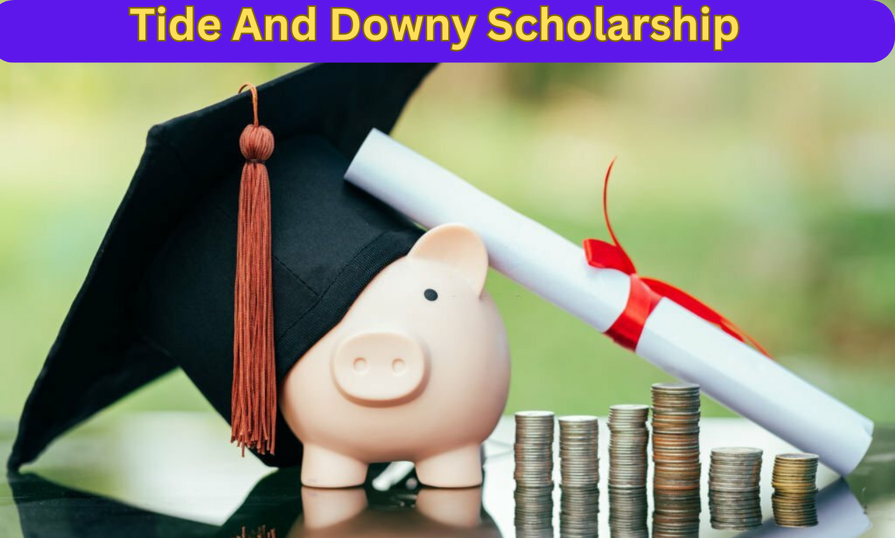 Tide And Downy Scholarship Besteduhelp